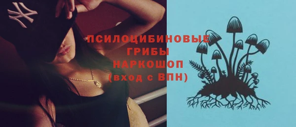 хмурый Нефтекумск